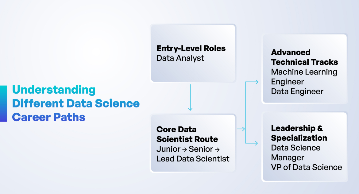 Mapping Out the Major Career Paths